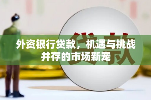 五股外资银行贷款，机遇与挑战并存的市场新宠