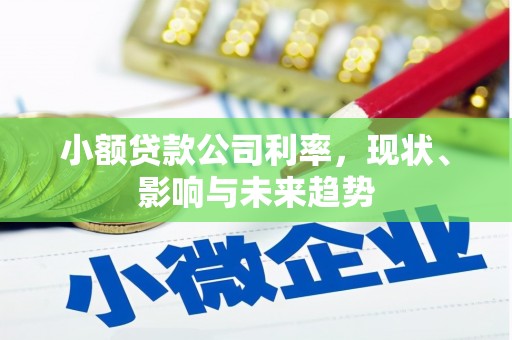 五股小额贷款公司利率，现状、影响与未来趋势