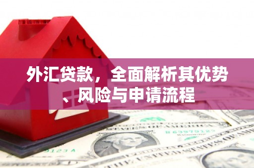 五股外汇贷款，全面解析其优势、风险与申请流程