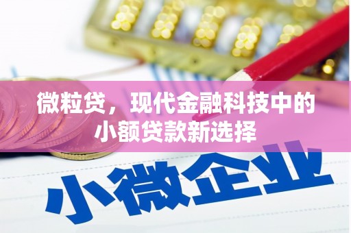 五股微粒贷，现代金融科技中的小额贷款新选择