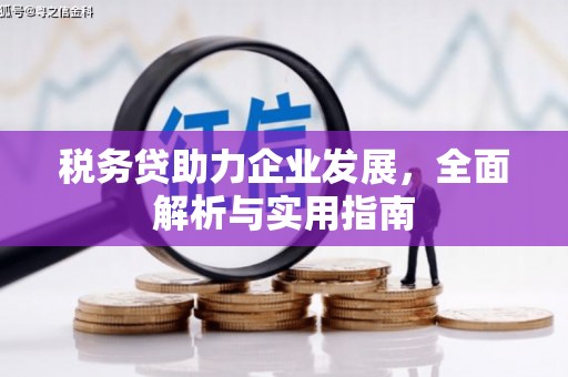五股税务贷助力企业发展，全面解析与实用指南