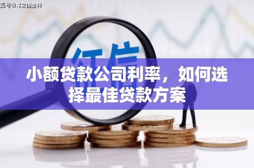 五股小额贷款公司利率，如何选择最佳贷款方案