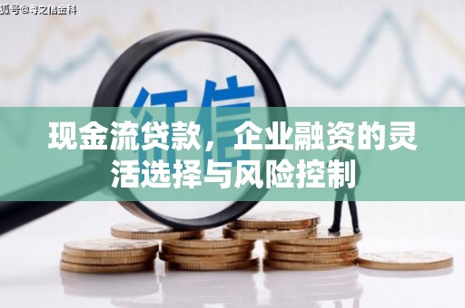 五股现金流贷款，企业融资的灵活选择与风险控制