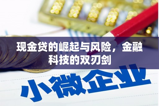 五股现金贷的崛起与风险，金融科技的双刃剑