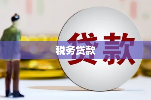 五股税务贷款