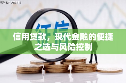 五股信用贷款，现代金融的便捷之选与风险控制