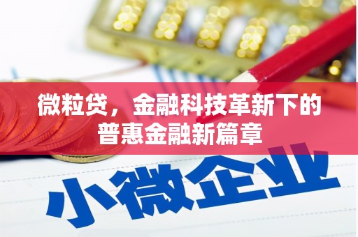 五股微粒贷，金融科技革新下的普惠金融新篇章