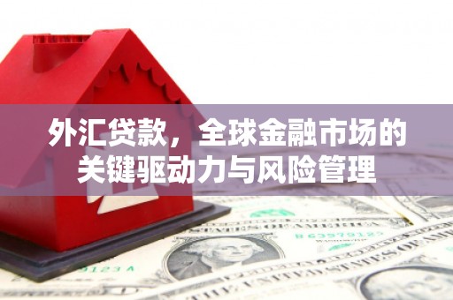 五股外汇贷款，全球金融市场的关键驱动力与风险管理