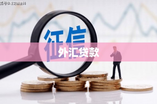 五股外汇贷款