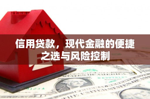 五股信用贷款，现代金融的便捷之选与风险控制