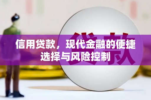五股信用贷款，现代金融的便捷选择与风险控制