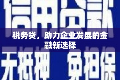 五股税务贷，助力企业发展的金融新选择