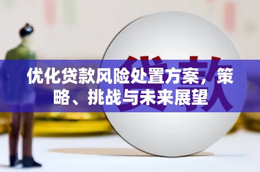 五股优化贷款风险处置方案，策略、挑战与未来展望