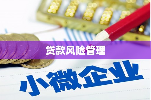 五股贷款风险管理