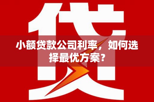 五股小额贷款公司利率，如何选择最优方案？