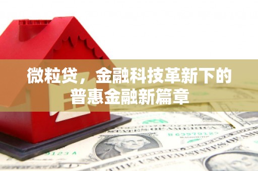 五股微粒贷，金融科技革新下的普惠金融新篇章