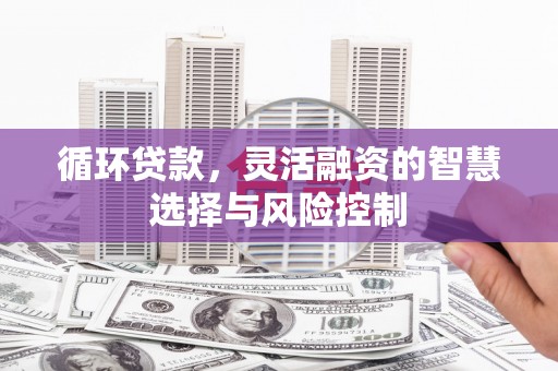 五股循环贷款，灵活融资的智慧选择与风险控制