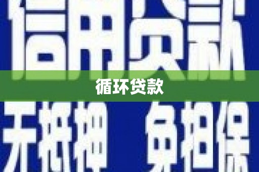 五股循环贷款