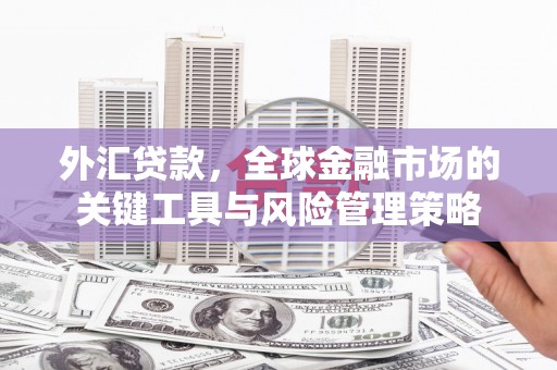 五股外汇贷款，全球金融市场的关键工具与风险管理策略