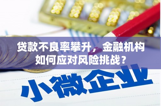 五股贷款不良率攀升，金融机构如何应对风险挑战？