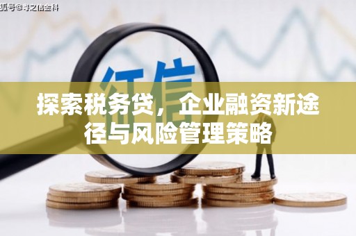 五股探索税务贷，企业融资新途径与风险管理策略