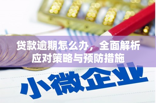 五股贷款逾期怎么办，全面解析应对策略与预防措施