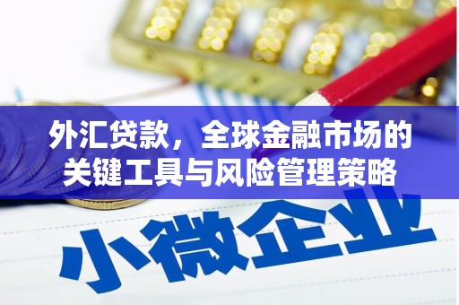 五股外汇贷款，全球金融市场的关键工具与风险管理策略