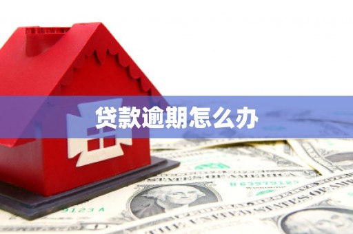 五股贷款逾期怎么办
