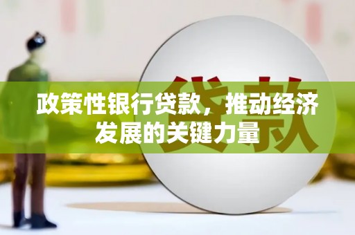 五股政策性银行贷款，推动经济发展的关键力量