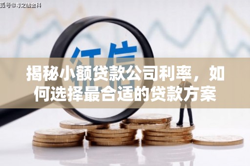 五股揭秘小额贷款公司利率，如何选择最合适的贷款方案