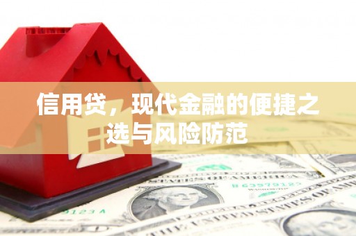 五股信用贷，现代金融的便捷之选与风险防范