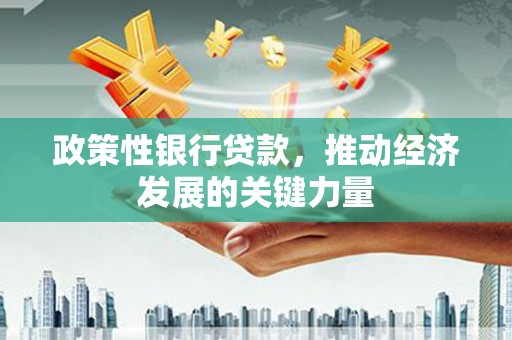 五股政策性银行贷款，推动经济发展的关键力量