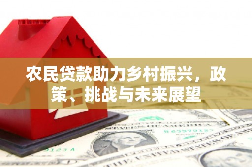 五股农民贷款助力乡村振兴，政策、挑战与未来展望