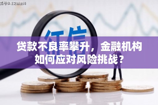 五股贷款不良率攀升，金融机构如何应对风险挑战？