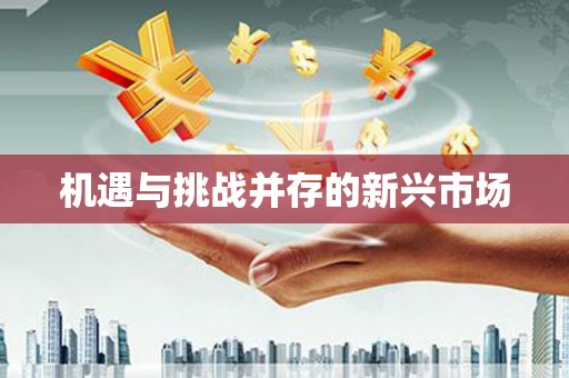 五股机遇与挑战并存的新兴市场